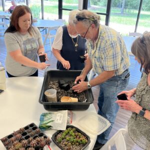 Third Thursday attendees propagating cactus and succulents