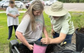 Two Third Thursday workshop attendees plant a small tree sampling in a nursery pot.