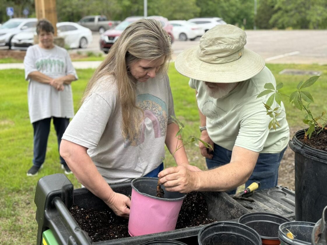 Two Third Thursday workshop attendees plant a small tree sampling in a nursery pot.