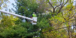A person working in an aerial lift over power lines.