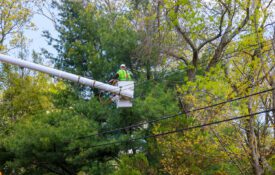 A person working in an aerial lift over power lines.