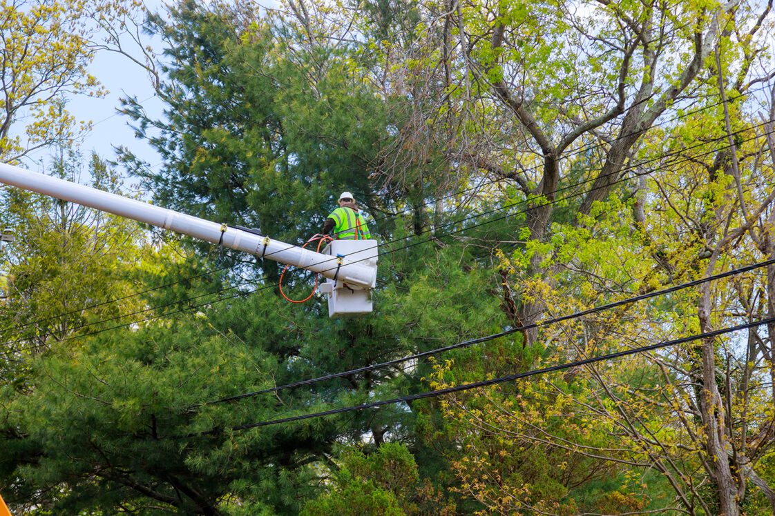 A person working in an aerial lift over power lines.