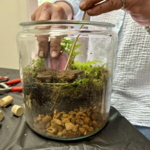 close up of Third Thursday terrarium, attendee is placing most on the top layer of soil.