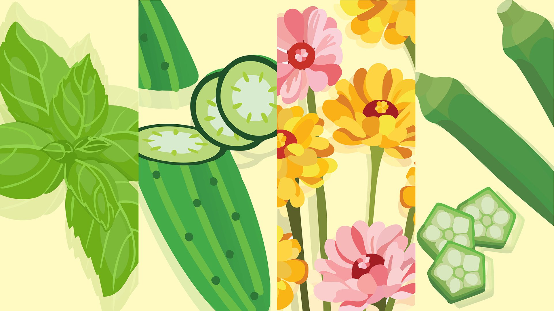 A colorful collage of illustrated produce including basil, cucumber, flowers, and okra.