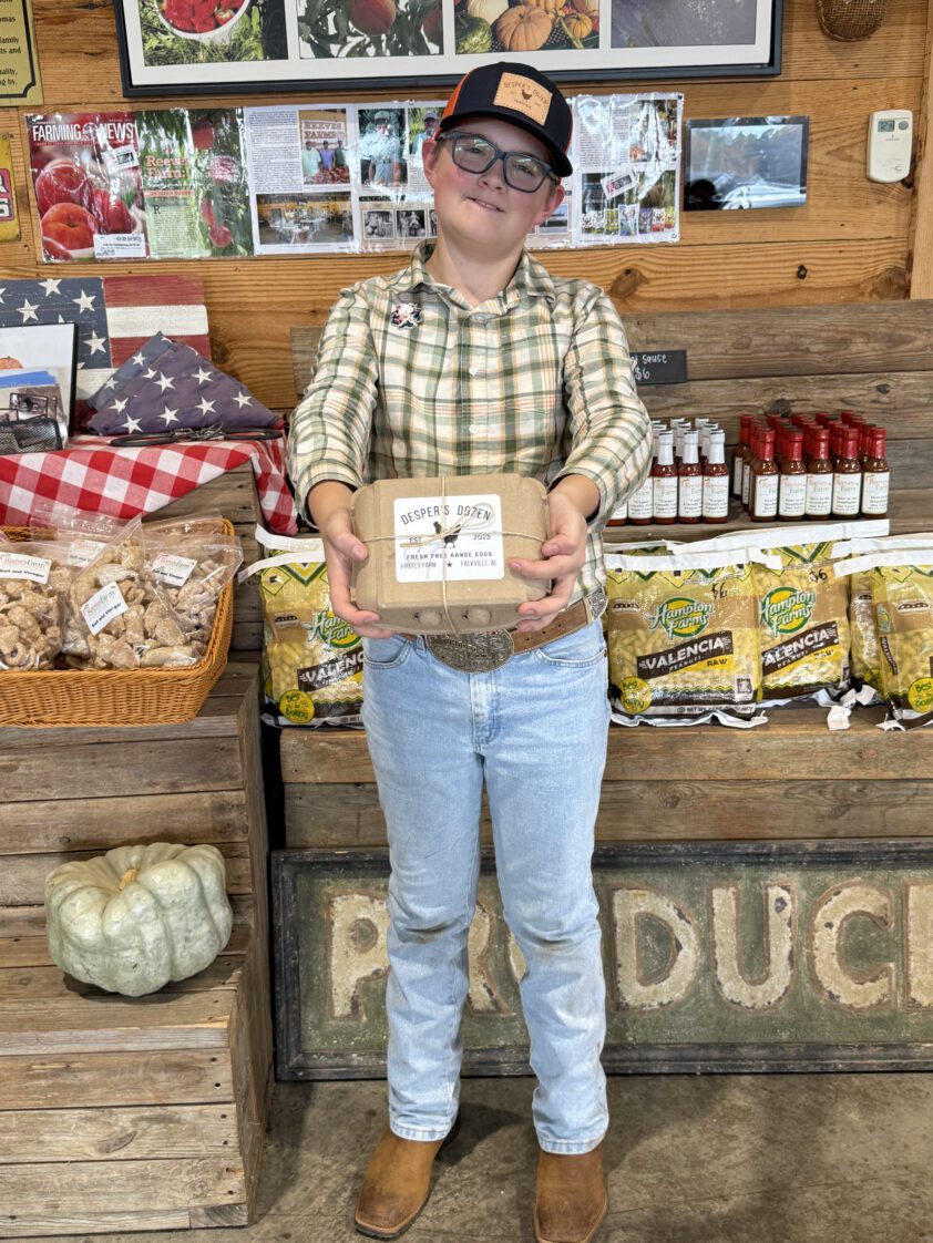 Eleven-year old Desper Dobbs displaying a box of his Desper's Dozen eggs as sold at Reeves Peach Farm in Hartselle.