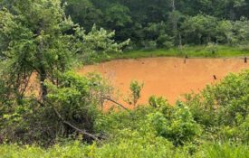Figure 1. Pond with heavy clay turbidity.
