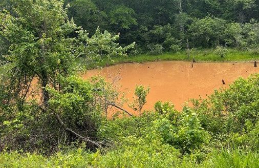 Figure 1. Pond with heavy clay turbidity.