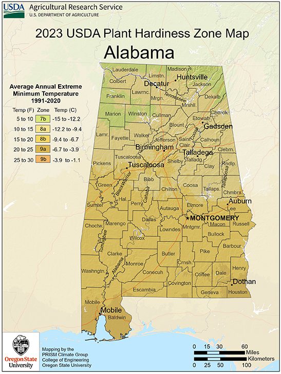 A graphic of the 2023 USDA Plant Hardiness Zone Map for Alabama. 