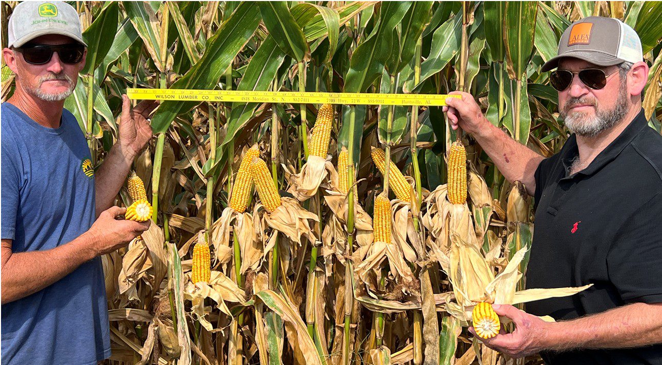 Chad Henderson and Eddie McGriff standing in a corn field where Henderson harvested his award-winning yields.