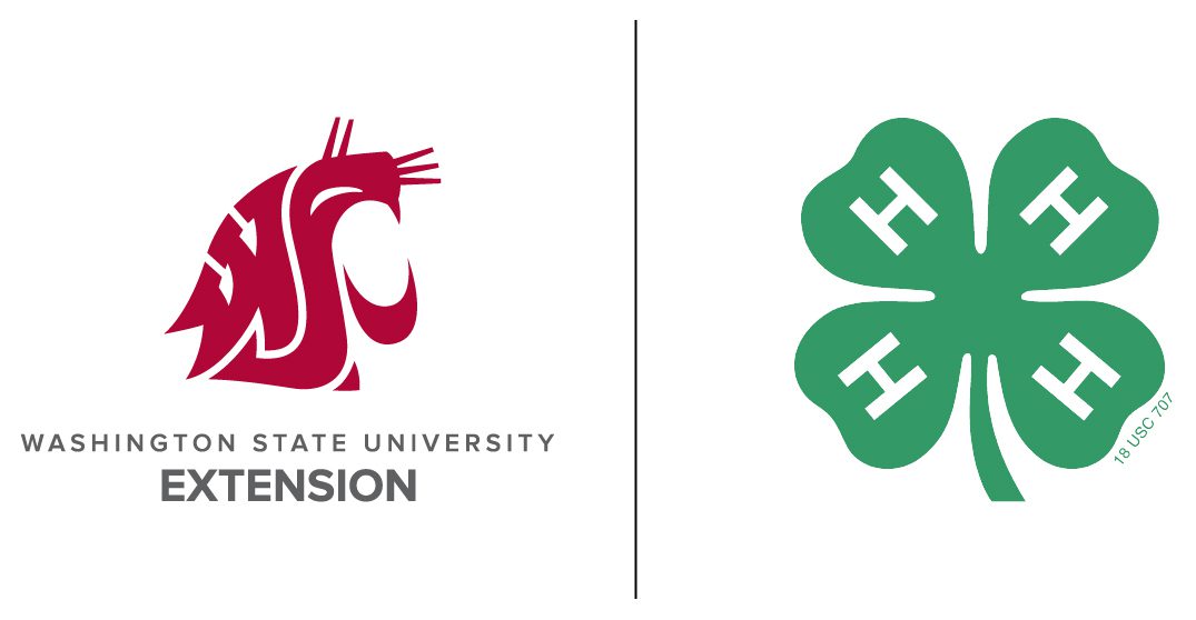 The logos for Washington State University and 4-H 