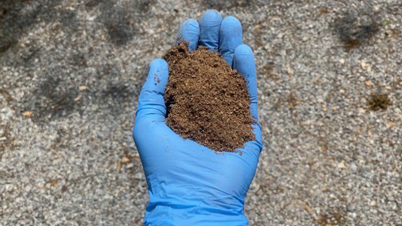 Figure 4. Fine litter with a large surface area will generate ammonia. Avoid tilling to a fine particle size (coffee grains). (Photo credit: Josh Payne, Poultry Guard)