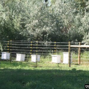 Figure 9. Electric fencing is effective at protecting resources such as gardens and apiaries. (Credit: Whitney Cranshaw, Colorado State University, Bugwood.org)