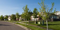 A residential neighborhood street and house with trees planted along the street's edge.