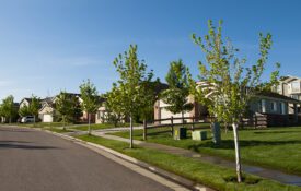 A residential neighborhood street and house with trees planted along the street's edge.