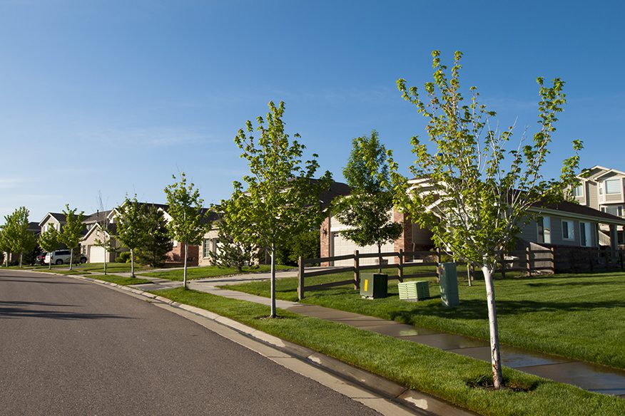 A residential neighborhood street and house with trees planted along the street's edge.