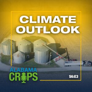 A graphic with a drone shot of grain bins located in the middle of a fallow filed with an 18-wheeler truck filling with grain. The graphic includes the words Climate Outlook, S6:E3.