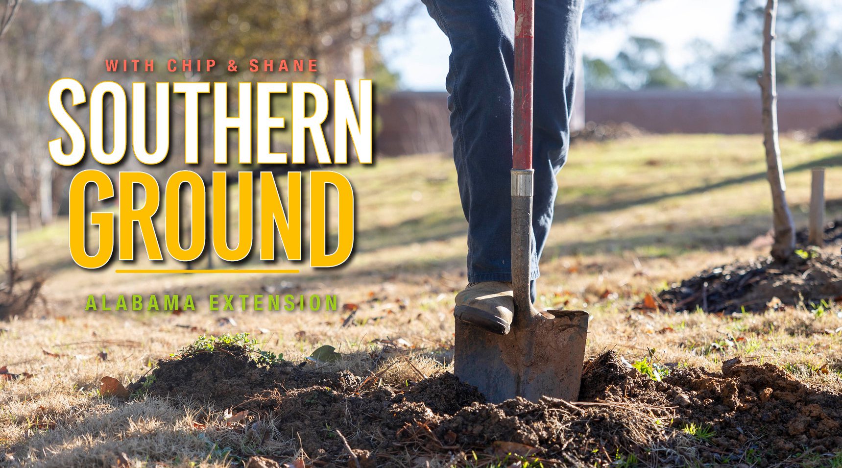 A person digging a hole with a shovel to plant a tree during the fall or winter. The words "Southern Ground with Chip and Shane Alabama Extension" are designed on the image's left side.