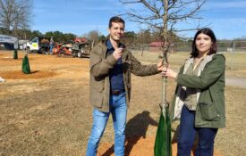 Alabama Extension Specialist Georgios Arseniou, left, and Project Coordinator Jessica Baldwin inspect one of the nuttall oaks planted in Seale, Alabama, on Jan. 20.
