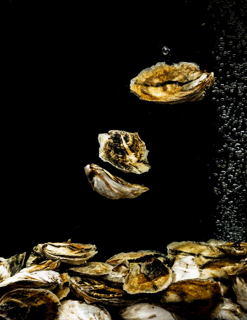 Oysters suspended in water with a dark background.