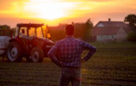 A male farmer standing with his back to the camera looking at the setting set while standing in a crop field with a tractor and house in the background.