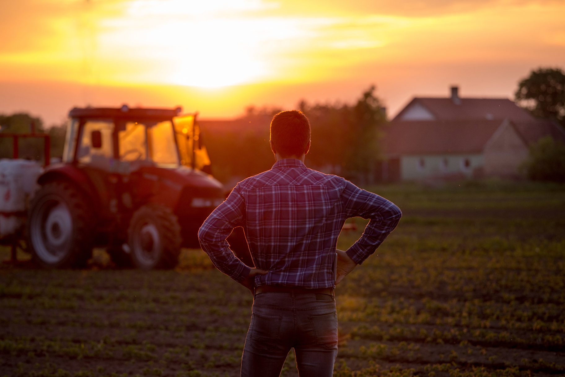 A male farmer standing with his back to the camera looking at the setting set while standing in a crop field with a tractor and house in the background.