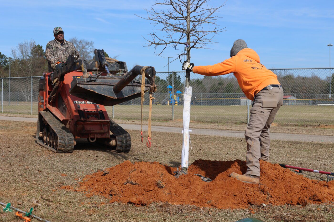 A man riding a machine that is planting a tree with another man helping to ensure the tree stays straight during planting.