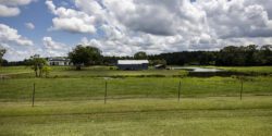 A rural scene with a fence-lined pasture in the foreground and a barn and home in the background.