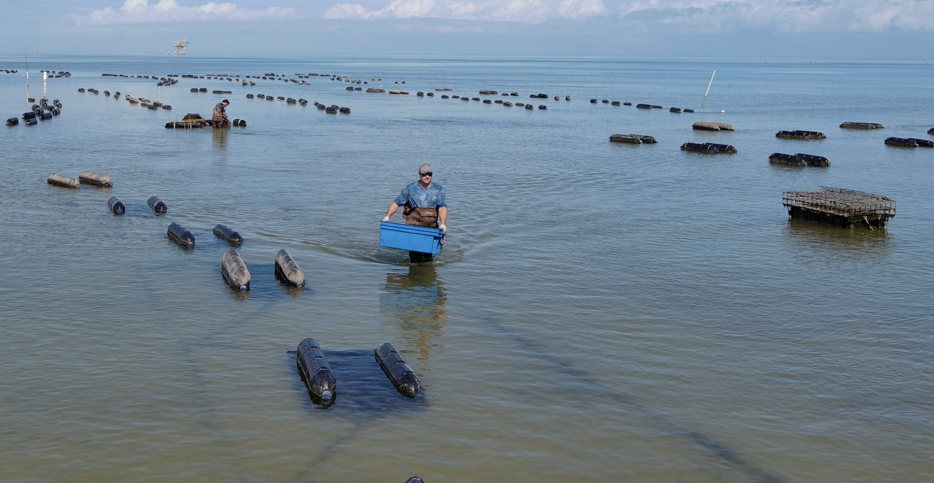 Admiral Shellfish Company operates along Alabama's coast, where restored oyster reefs help support a healthier bay and strengthen the state's commercial oyster industry.