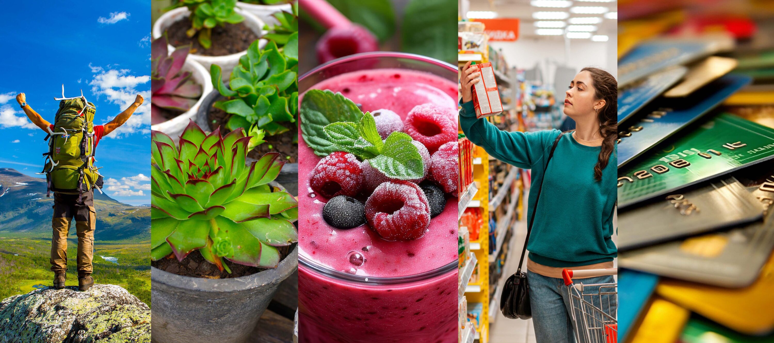 A photo collage that includes a person hiking, succulent plants, a berry smoothie, and woman grocery shopping, and a stack of credit cards.