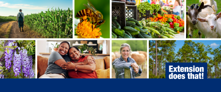 A collage with images of a farm in a corn field, a bee on a flower, a farmers market table, goats, wisteria, a mom and daughter hugging, a women with cattle in the background and pine trees. Also includes the words Extension does that!