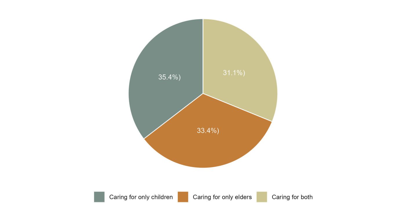 Figure 1. Distribution of caregivers in Alabama by care type (n=1,053)