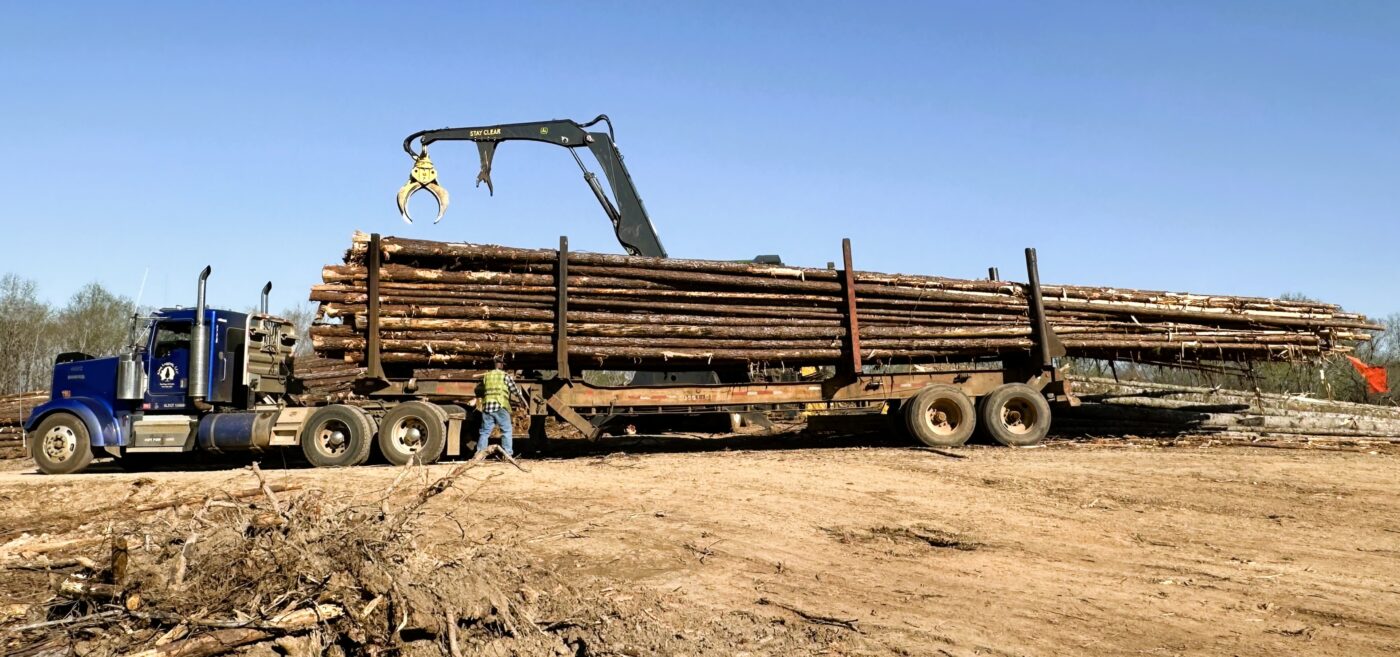 Figure 1. Log truck driver binding a load to get it ready for travel to the mill. This process secures logs with chains, wire ropes, or straps to prevent them from shifting, tipping, or falling off the trailer during transport.