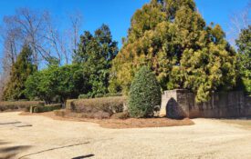 Figure 2. A combination of trees shrubs, and groundcovers can provide a durable screen that performs well throughout the seasons.