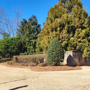 Figure 2. A combination of trees shrubs, and groundcovers can provide a durable screen that performs well throughout the seasons.