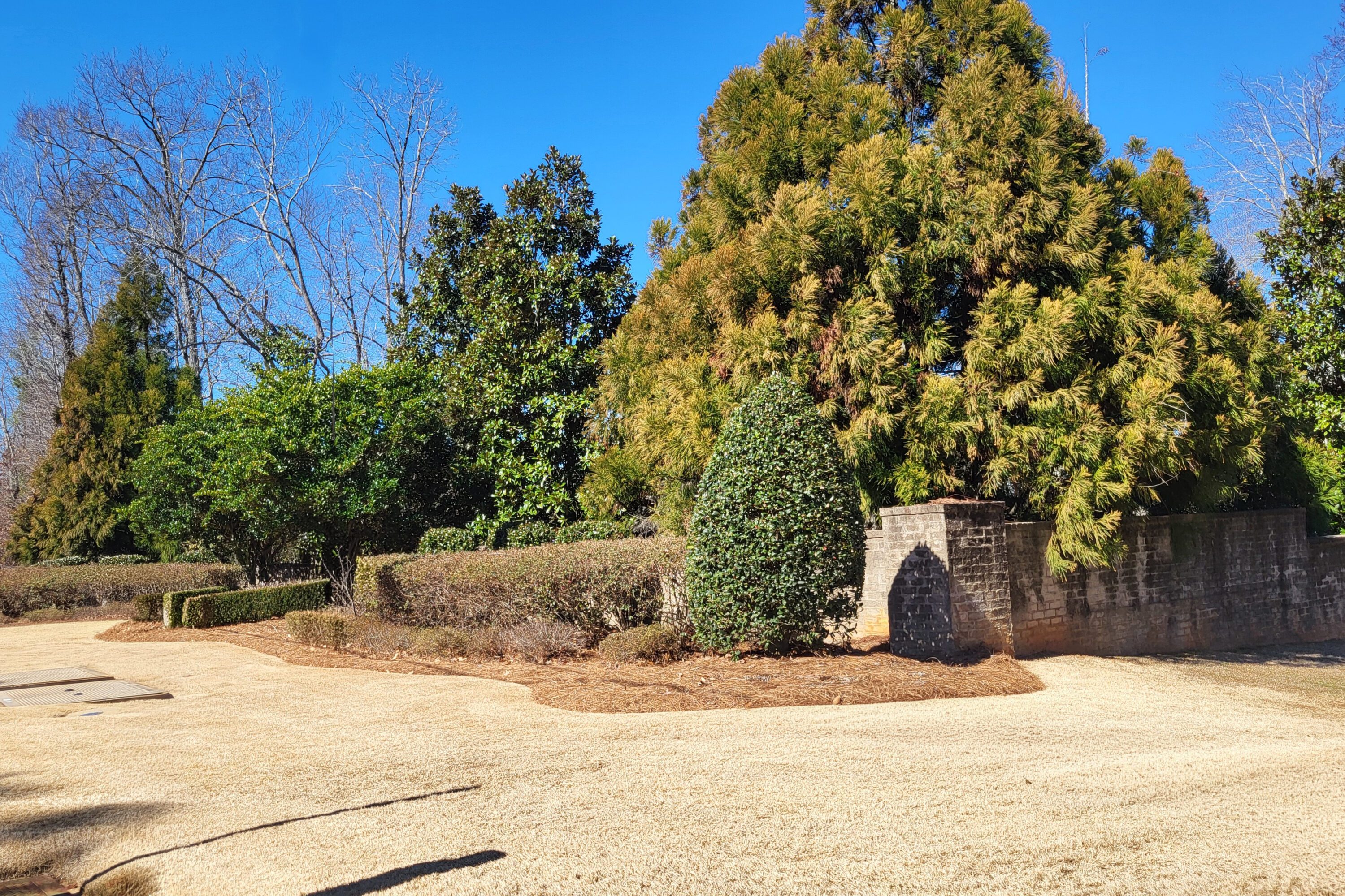 Figure 2. A combination of trees shrubs, and groundcovers can provide a durable screen that performs well throughout the seasons.