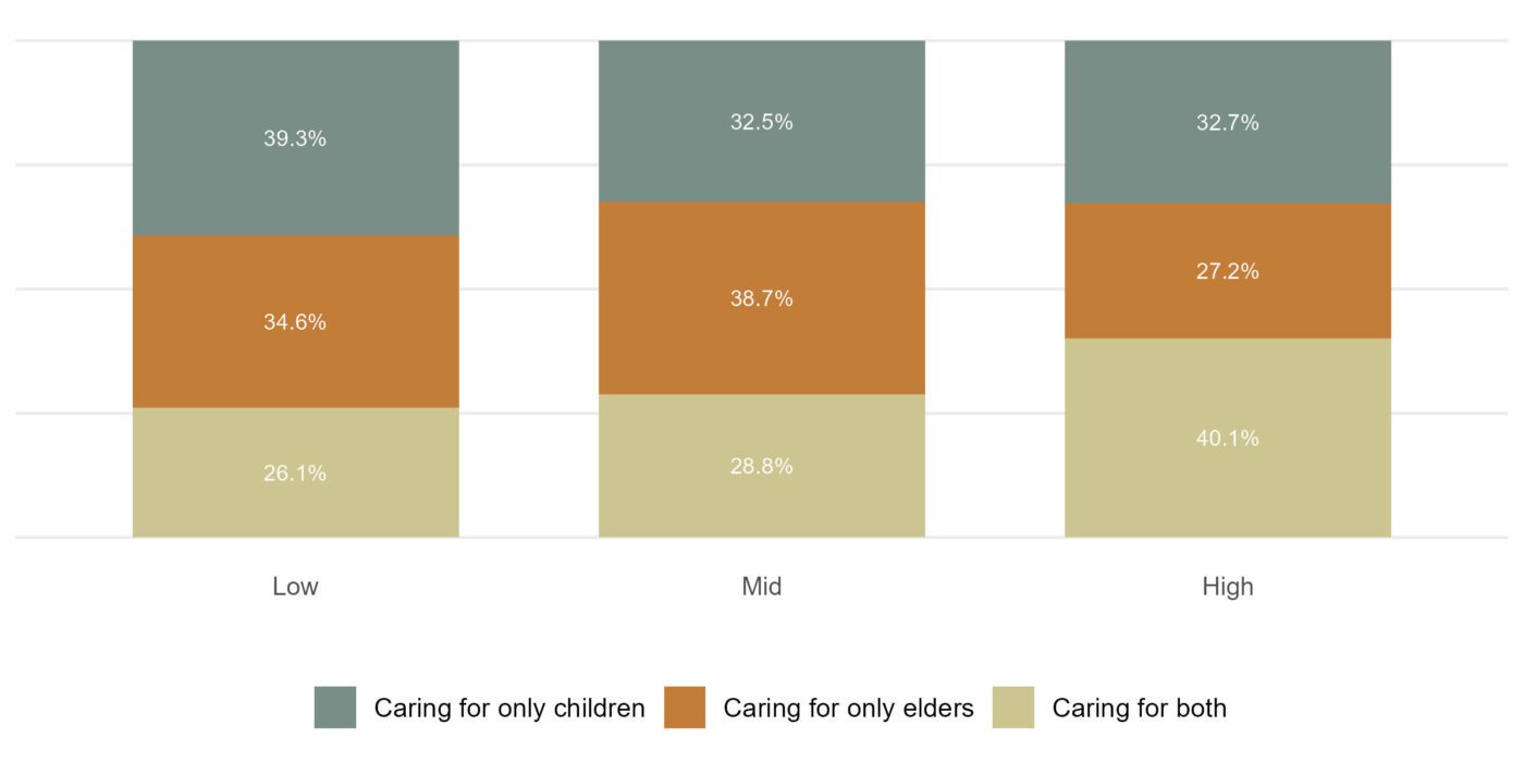 Figure 4. The highest level of education of caregivers