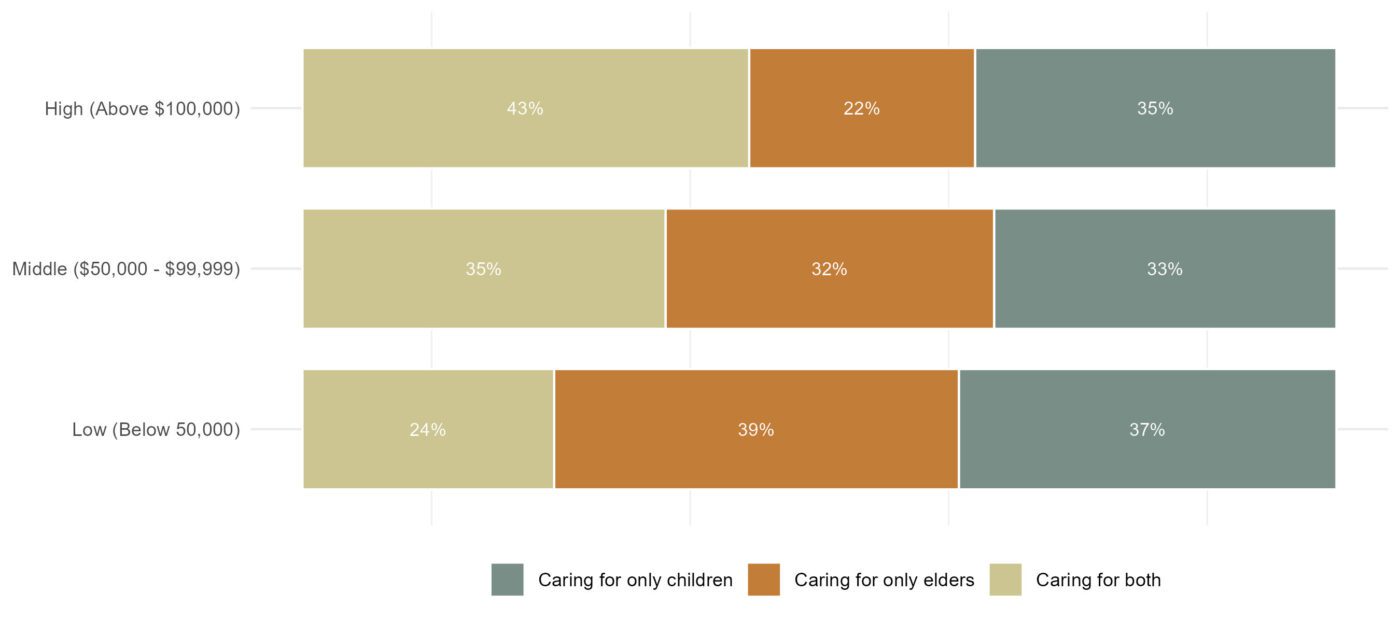 Figure 7. Income of caregivers