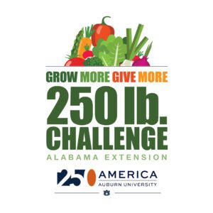 An illustrated logo with colorful fruit and vegetables with the words Grow More Give More 250 Pound Challenge Alabama Extension.
