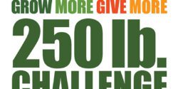 An illustrated logo with includes colorful fruits and vegetables with the following words: Alabama Extension Grow More, Give More 250 lb. Challenge. The image also include the America250 at Auburn University logo at the bottom.
