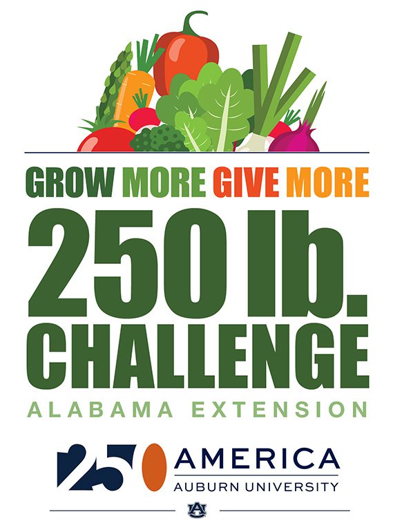 An illustrated logo with includes colorful fruits and vegetables with the following words: Alabama Extension Grow More, Give More 250 lb. Challenge. The image also include the America250 at Auburn University logo at the bottom.