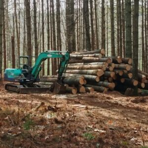 Figure 4. Many draft animal loggers integrate machinery into their operations for decking and loading logs. Here, logs have been decked at a landing with a mini excavator after being skidded by horses.
