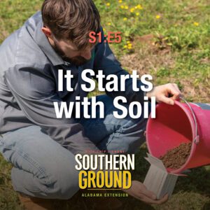 A square image of a man holding a red bucket in on hand and a soil test box in the other, adding soil from the bucket to the box. The image has the following words S1E5 It Starts with Soil and the Southern Ground Alabama Extension logo at the bottom.