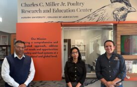 From left are Rishi Prasad, Debolina Chakraborty and Wilmer Pacheco.