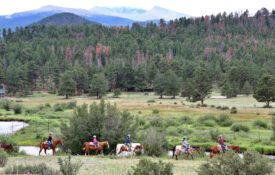 A mountain and forest scene with people riding horses in Estes Park, Colorado.
