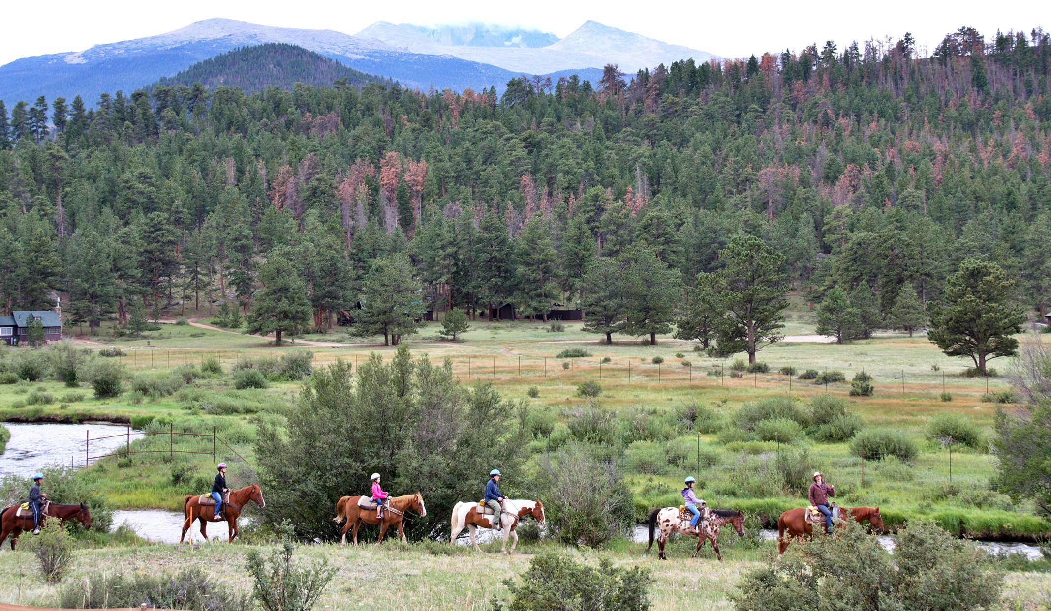 A mountain and forest scene with people riding horses in Estes Park, Colorado.