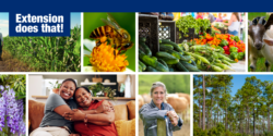 A collage of photos featuring farm and family images with the words Extension does that! The images correlate to programming offered in the Alabama Extension Webinar Series.