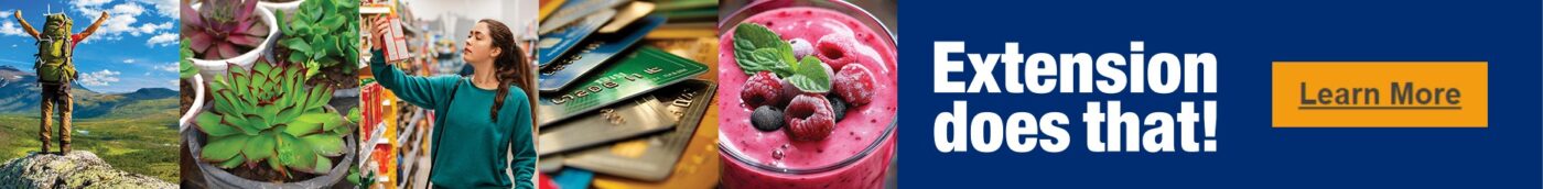 Extension does that logo