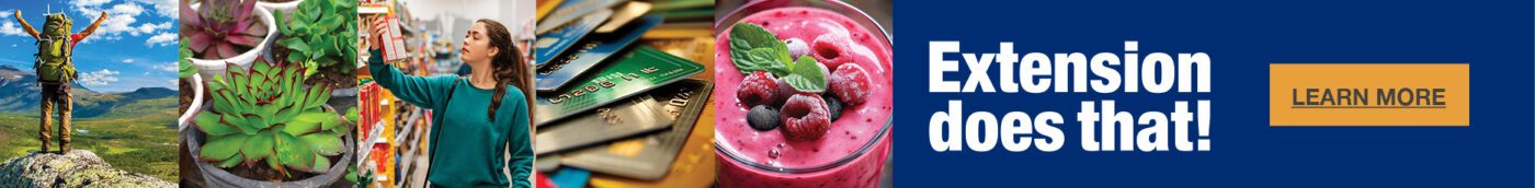 Extension does that logo