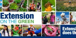 A collage of images related to Extension programs with the following words: Extension on the Green. Extension does that!