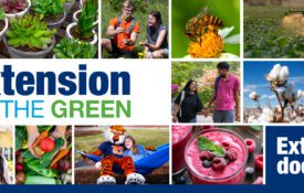 A collage of images related to Extension programs with the following words: Extension on the Green. Extension does that!